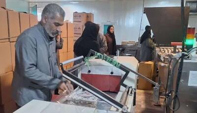 افزایش واحدهای تولیدی صنایع تبدیلی و غذایی لرستان به ۲۱۷ واحد فعال