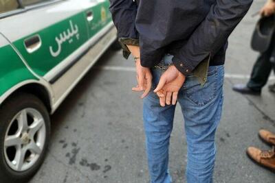 از پرستار خانگی تا قاتل بالقوه | راز گفت‌وگوی مرموز در پارک فاش شد