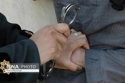 کشف بیش از 2 کیلوگرم مواد مخدر از زن فروشنده در فردیس