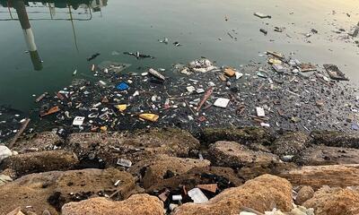 مانور پاکسازی؛ جمع‌آوری ۱۲ تن زباله در بندر شهید باهنر