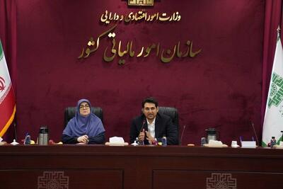 سخنگوی دولت: برای کسانی که مالیات خود را به موقع می‌پردازند از ابزار‌های تشویقی استفاده شود