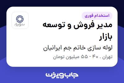 استخدام مدیر فروش و توسعه بازار در لوله سازی خاتم جم ایرانیان