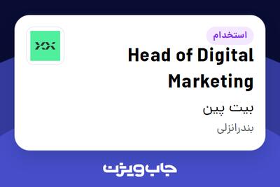 استخدام Head of Digital Marketing در بیت پین