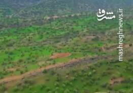ویدئویی از زیبایی «چاروسا»؛ نگین سبز کهگیلویه‌وبویراحمد