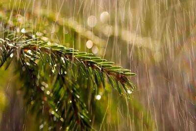 موج بارشی جدید از روز دوشنبه وارد آذربایجان غربی می شود