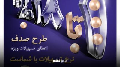 وام بدون مسدودی بانک ملی / تا سقف ۳۰۰ میلیون تسهیلات بدون سود دریافت کنید/ فرصت طلایی برای همه!