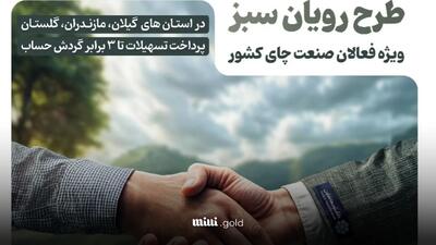 وام رویان سبز بانک توسعه تعاون/ تسهیلات تا ۳ برابر موجودی حساب