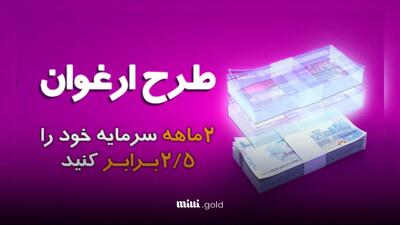 وام ۳۰۰ میلیونی بدون مسدودی بانک سینا / با طرح ارغوان ۲ ماهه سرمایتو ۲/۵ برابر کن