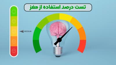 تست مغز شما چند سالشه - پایگاه خبری مدارا