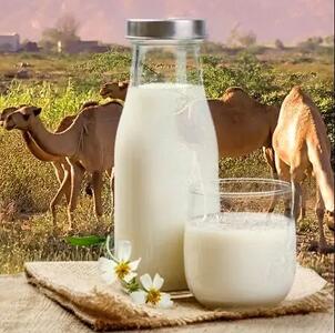 قیمت مصوب شیر اعلام شد