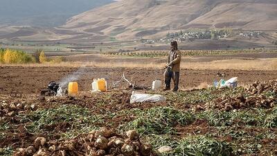 سیستم کشاورزی کشور انعطاف‌پذیرتر و امنیت غذایی تضمین شود