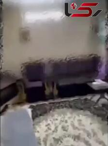 فیلم لحظه بازداشت اعضای بزرگترین باند قاچاقچیان اعضای بدن در شهرری تهران ! / 13 افغان گردانندگان باند بودند