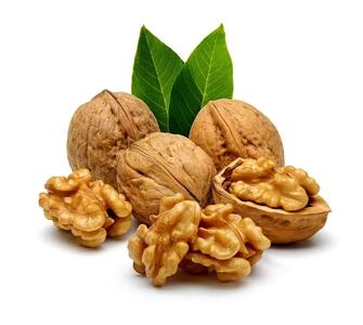 گردو پوست کاغذی
