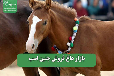 بازار داغ فروش جنین اسب