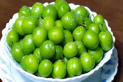 گوجه سبز موجود در بازار قاچاق است!