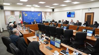 صدور الکترونیک گواهی ولادت گام دیگری در جهت ارائه خدمات غیرحضوری