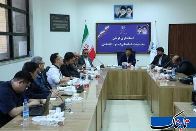 کرمان؛ سرمایه‌گذاری ۲ هزار مگاواتی انرژی خورشیدی با چین