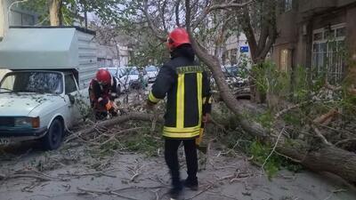 ۱۳ حادثه منجر به عملیات بر اثر طوفان در مشهد