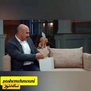 درخواست عجیب پشه از تنابنده/ لباس کشتی رو بپوش تا نیشت بزنم/ویدیو