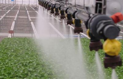 کسب گواهینامه HortiQ برای ورود به بازار گلخانه‌های خاورمیانه