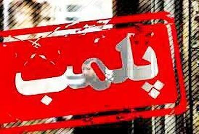  ۲۱ ماه حبس برای قصاب عرضه کننده گوشت غیر بهداشتی در لرستان
