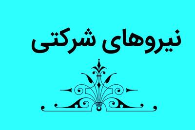آیین نامه ساماندهی کارکنان دولت نهایی شد / تبدیل وضعیت نیروهای شرکتی از خرداد