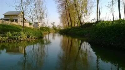 پیربازار رشت در زمان ناصر الدین شاه+تصاویر