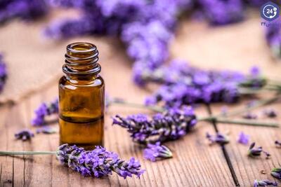 دمنوش این گیاه برای تقویت حافظه مفید است