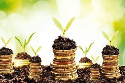 امهال تسهیلات 418 کشاورز خسارت‌دیده در قزوین