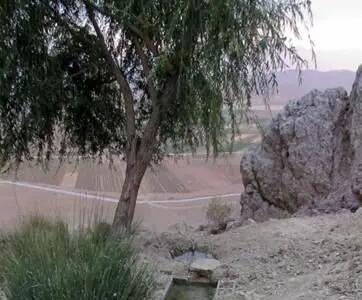 ۲۰ آبشخور بتنی دام در مناطق ییلاقی استان اردبیل احداث شد