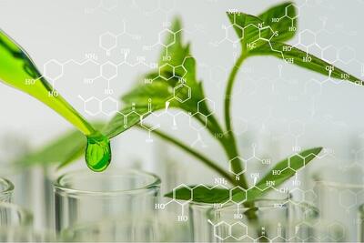 برگزاری نمایشگاهی از آخرین دستاوردهای صنعت گیاهان دارویی