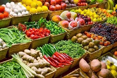 افتتاح فاز اول نخستین واحد پرتودهی محصولات کشاورزی غرب کشور در همدان