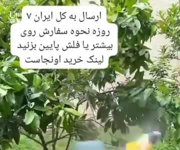 کارواش ارسال به کل کشور