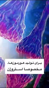 واقعیت های پنهان در مورد ویتامین دی + فیلم /  قبل از مصرف حتما ببینید!