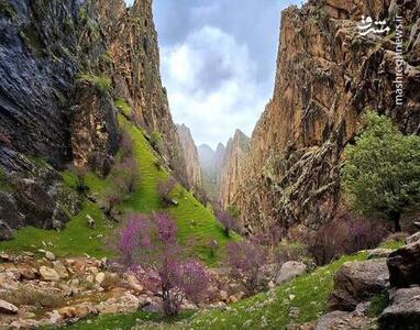 تصویری از طبیعت شگفت‌انگیز زاگرس