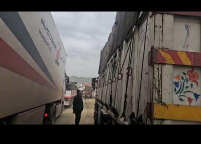 کشف ۹ تن گیاهان خوراکی قاچاق در مرز باشماق مریوان