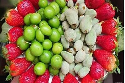 بیداد قیمت‌ در میوه‌فروشی‌های هرمزگان