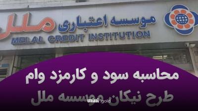وام ۷۵۰ میلیونی نیکان موسسه ملل با کارمزد ۴٪ و بدون ضامن/ شرایط ویژه وام نیکان موسسه ملل چیست؟ 