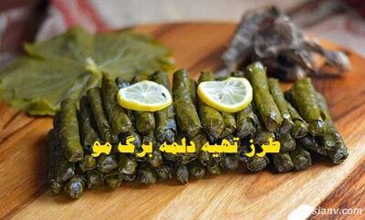 طرز تهیه دلمه برگ مو ؛ مراحل تهیه دلمه برگ مو خوشمزه و نحوه پیچیدن آن با تمام نکات + فیلم
