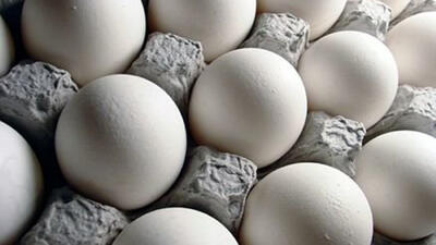 قیمت تخم مرغ ارزان شد