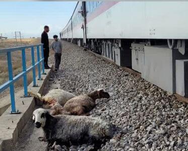 برخورد قطار با دام‌ در اصفهان حادثه ساز شد