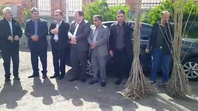 توزیع ۲۵۰۰ اصله نهال در کلیبر