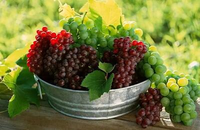 خواص بی‌نظیر مصرف این میوه