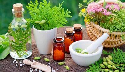 جنگ با بی‌خوابی شبانه با ۱۰ داروی گیاهی مؤثر