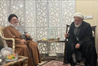موسوی خوئینی‌ها با کروبی دیدار کرد