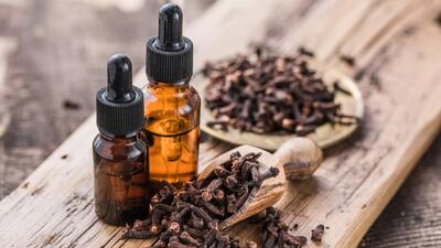گیاهی که قند خون را کنترل می‌کند و برای لاغری مفید است