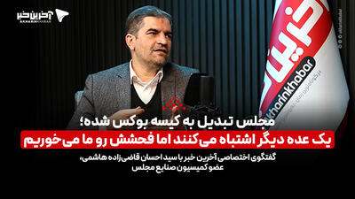 قاضی‌زاده هاشمی: مجلس تبدیل به کیسه بوکس شده؛ یک عده دیگر اشتباه می‌کنند اما فحشش را ما می‌خوریم