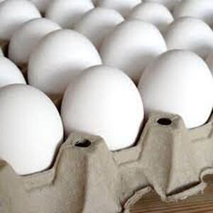 یک شانه تخم مرغ زیر 100 هزار تومان رسید
