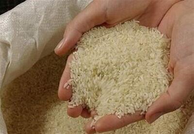 برنج یا یک محصول فراوری شده؟/ این نوع برنج‌ تقلبی از کجا آمده؟