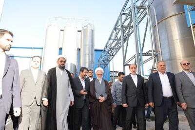 رییس قوه قضایی: اقدامات برای افزایش ظرفیت تولید کارخانجات نباید مقطعی باشد